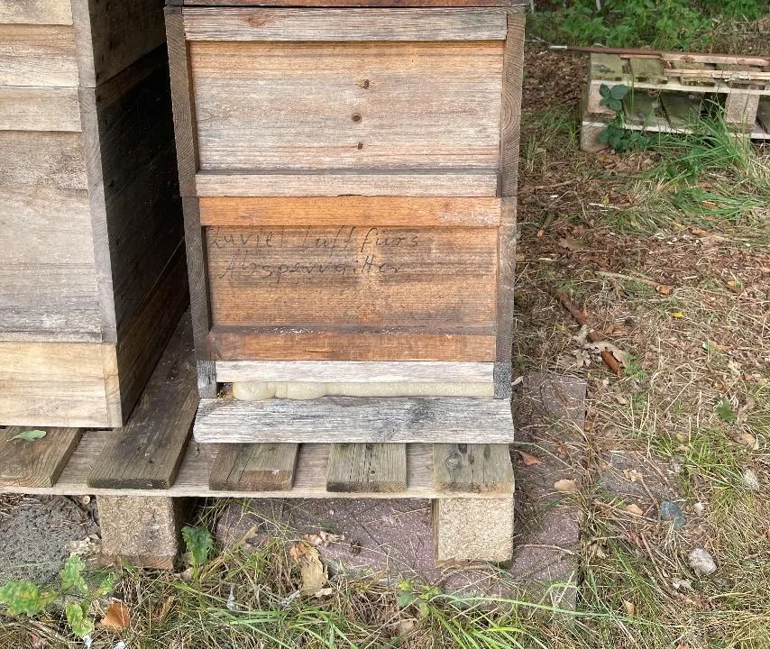 Kollektiv 7