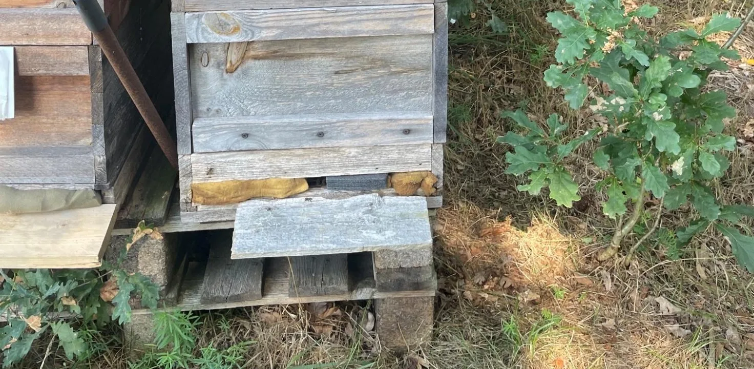 Kollektiv 2